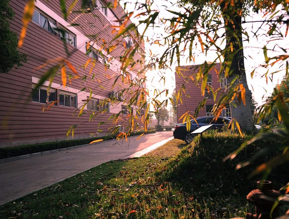 江西师大附中新增一所校区,江西师大附中2021喜报