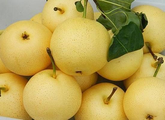 背部长痤疮是什么原因,背部长痘痘的原因中医