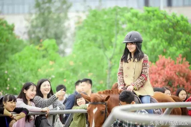 武汉学风好的大学,武汉高校外号
