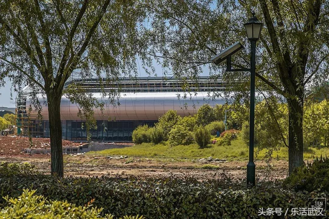 武汉学风好的大学,武汉高校外号