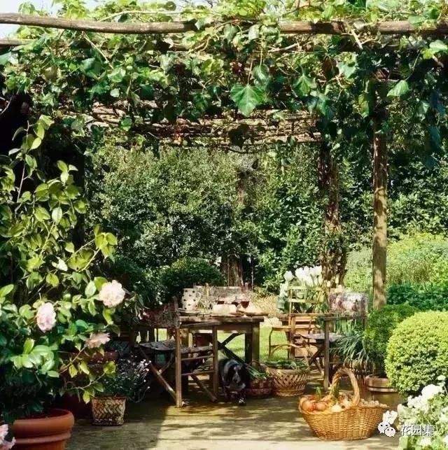 抑郁症疗愈花园,抑郁情绪疗愈法