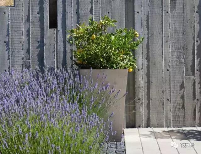 抑郁症疗愈花园,抑郁情绪疗愈法