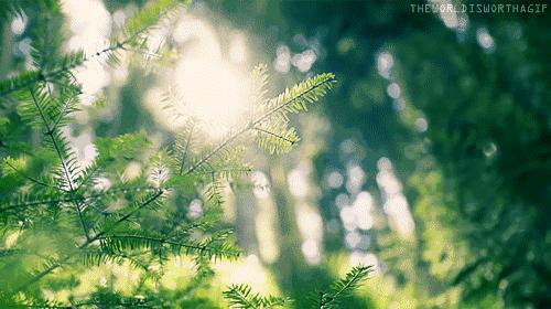 抑郁症疗愈花园,抑郁情绪疗愈法