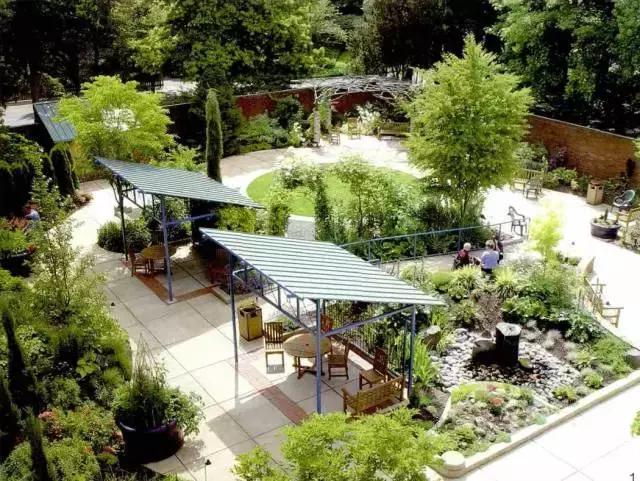 抑郁症疗愈花园,抑郁情绪疗愈法