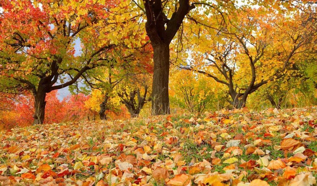 抖音呼和浩特,呼和浩特抖音