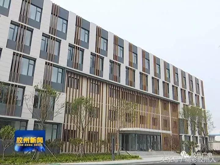 胶州铺集青少年足球训练中心新闻,胶州少儿足球训练基地