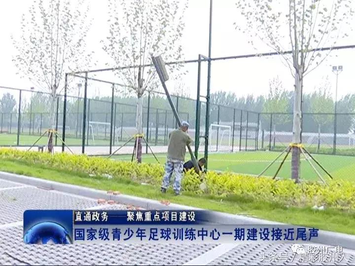 胶州铺集青少年足球训练中心新闻,胶州少儿足球训练基地