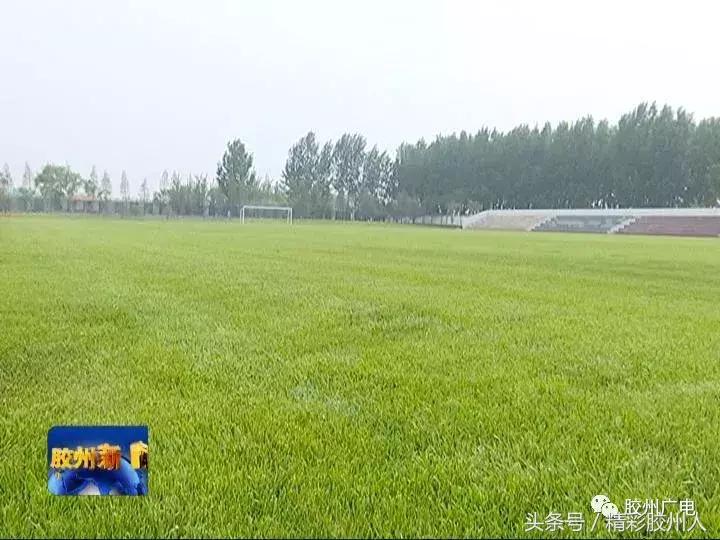 胶州铺集青少年足球训练中心新闻,胶州少儿足球训练基地