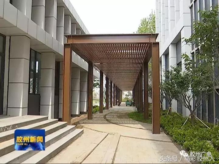 胶州铺集青少年足球训练中心新闻,胶州少儿足球训练基地