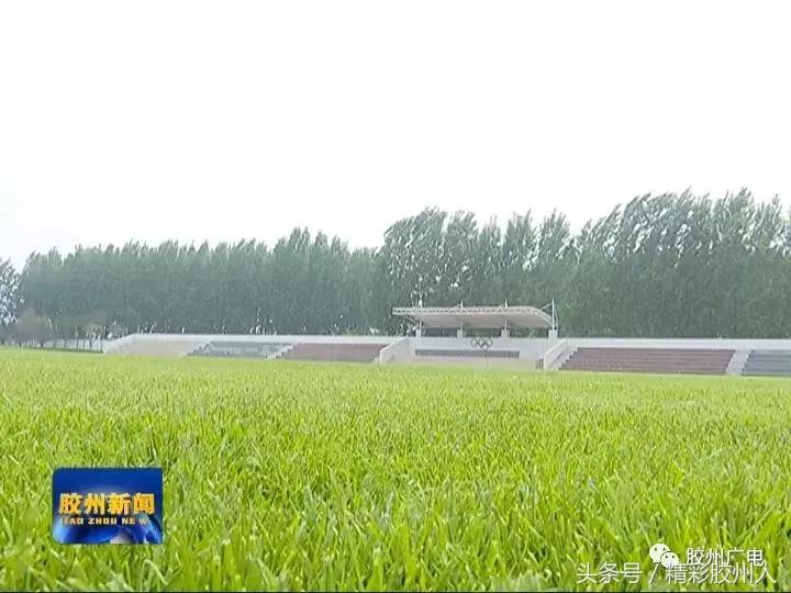 胶州铺集青少年足球训练中心新闻,胶州少儿足球训练基地