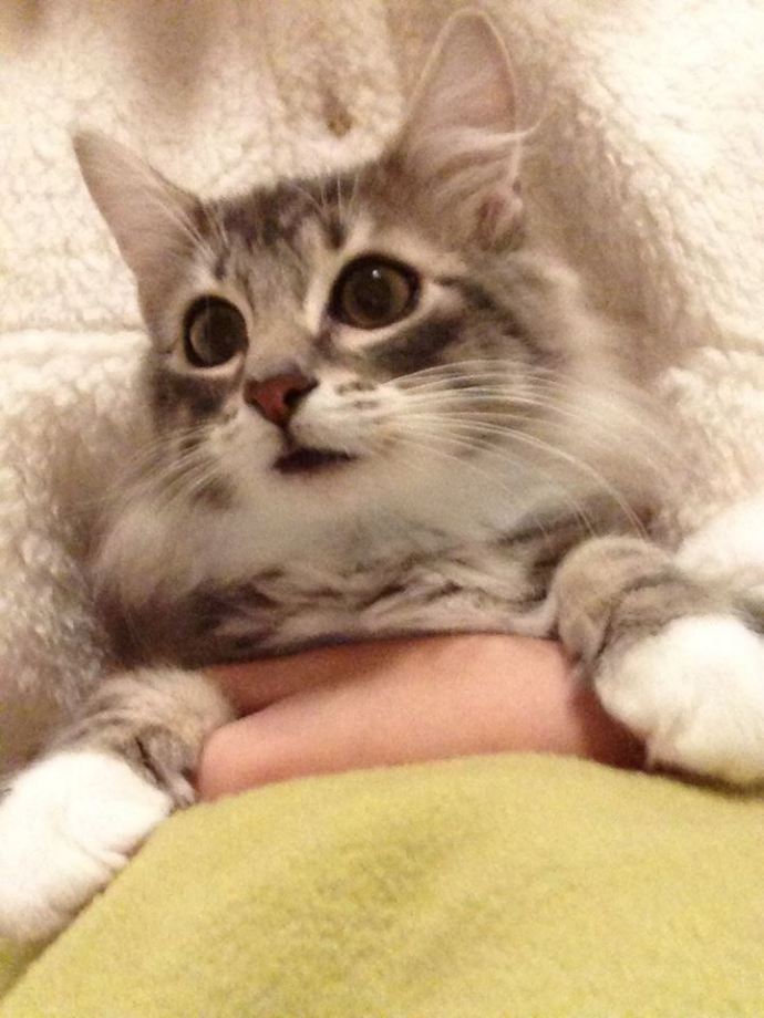 儿童报警求助知识,民警教孩子如何正确报警