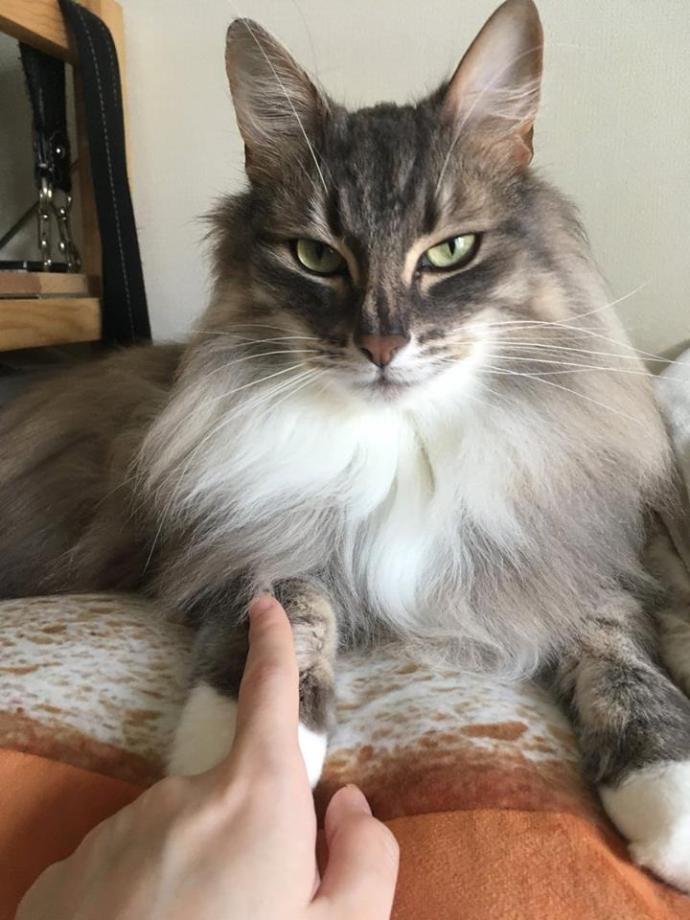 儿童报警求助知识,民警教孩子如何正确报警