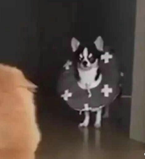 儿童报警求助知识,民警教孩子如何正确报警