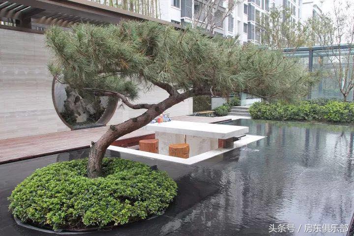 为何“正商系”要在追求品质的路上狂奔？