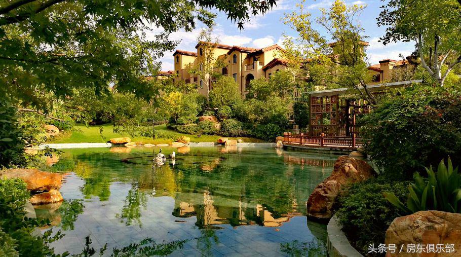 为何“正商系”要在追求品质的路上狂奔？