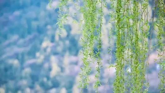 盛唐才子王之涣诗词欣赏,大唐王之涣传世六首诗