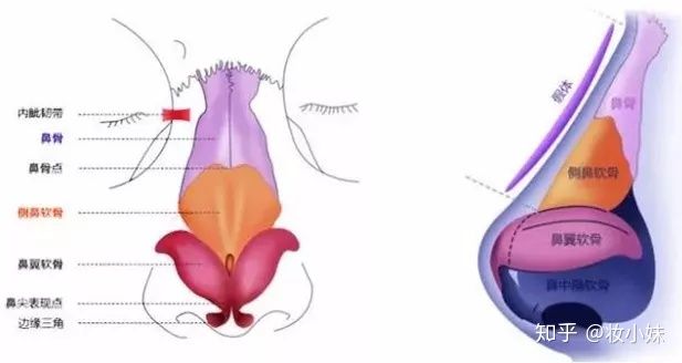 放屁排油、精油隆鼻、足贴排毒……这些智商税据说80%女生都交过