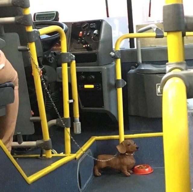 儿童报警求助知识,民警教孩子如何正确报警