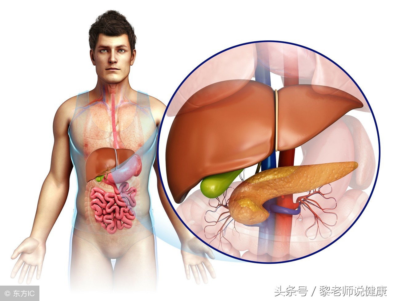千寒易除一湿难去中医8法祛湿邪,湿邪怎么食疗