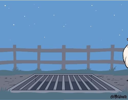 GIF呆萌动物冷知识，知道5个以上算你厉害！