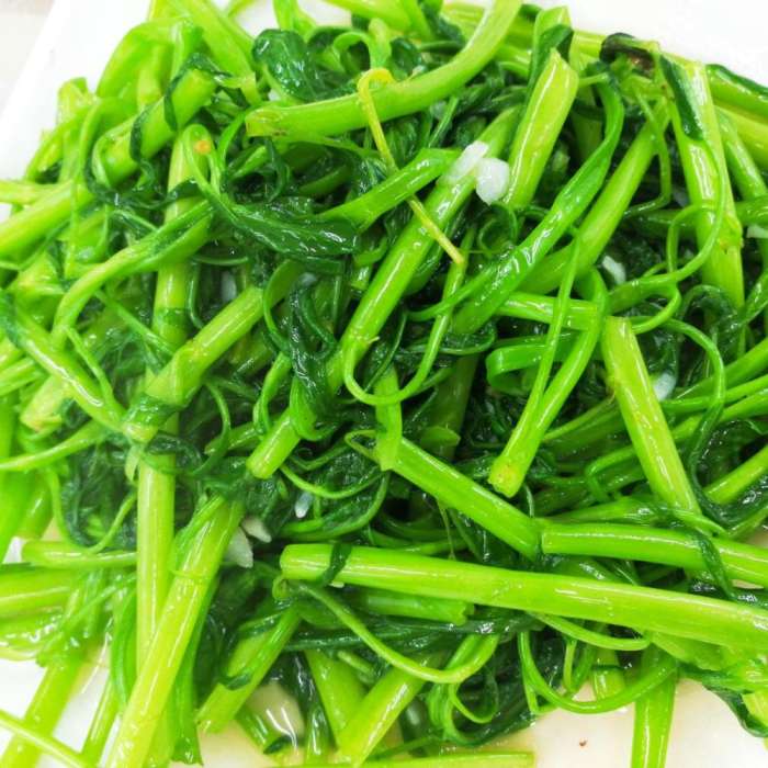 北纬十八度热带雨林天堂三亚,天堂森林公园三亚