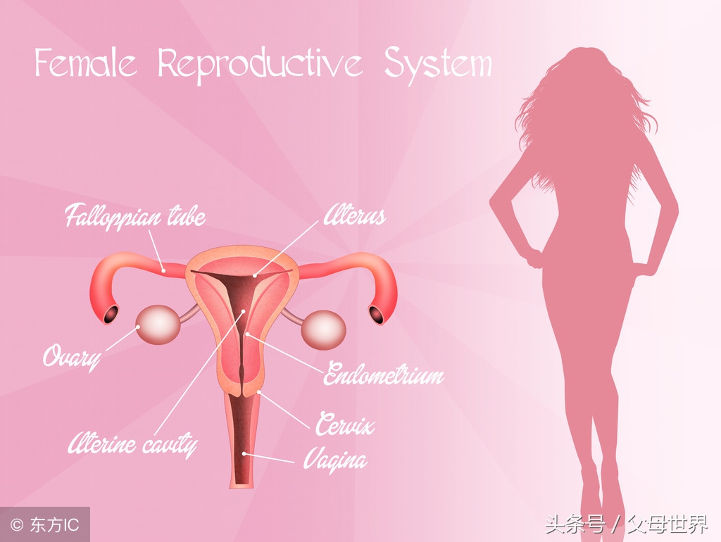 生完宝宝以后来例假量少怎么回事,生完孩子开始来月经不规律正常吗