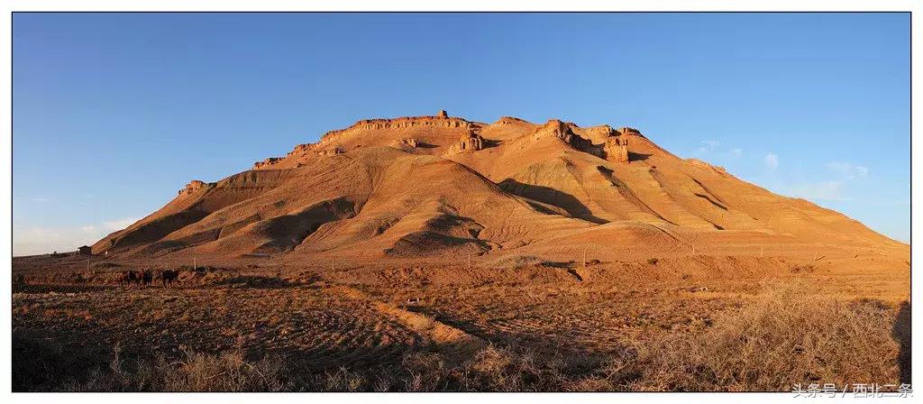 羊台山摄影作品欣赏,摄影日记2