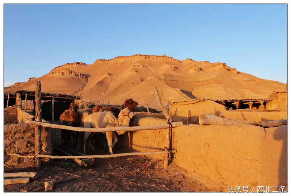 羊台山摄影作品欣赏,摄影日记2
