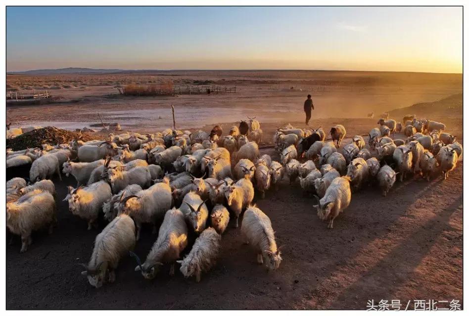 羊台山摄影作品欣赏,摄影日记2