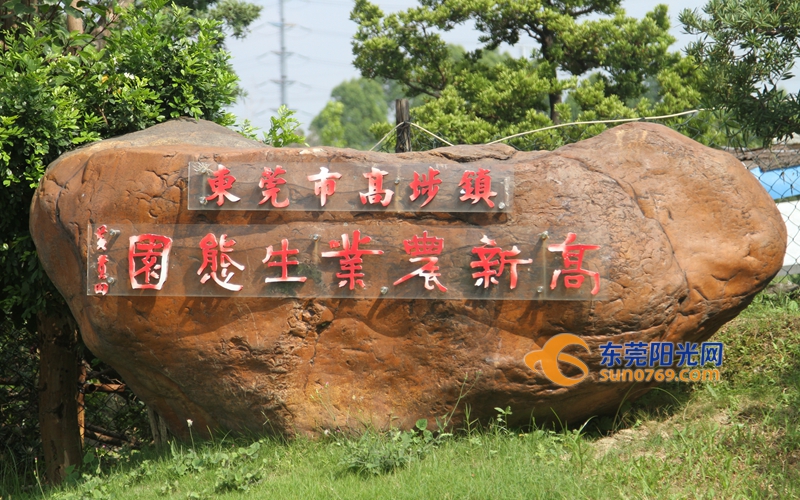 楂樺煑澶фˉ,楂樺煑澶фˉ寤鸿