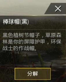 刺激战场吉利服战士,《刺激战场》玩家开箱获得吉利服