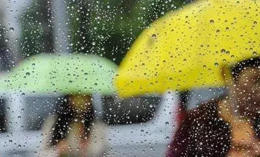 石家庄近日大新闻,石家庄八条利好消息