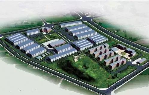 石家庄近日大新闻,石家庄八条利好消息