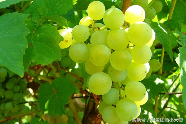 和桐华一样的言情小说,桐华经典言情小说