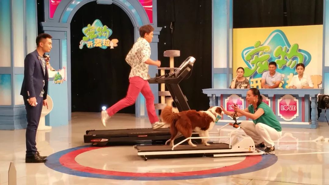 体博会2021时间表,体博会时间表2022