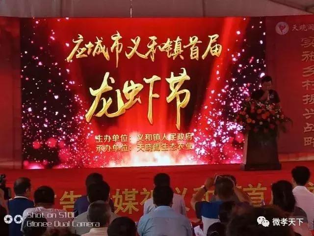 双河镇首届龙虾节,乡村振兴龙虾节