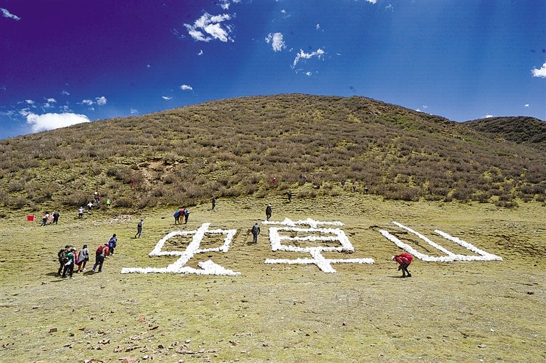 体验挖虫草视频大全,虫草采摘视频完整版