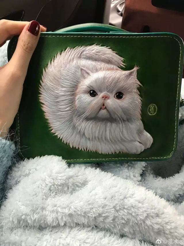 李晨送范冰冰的礼物,李晨送给范冰冰什么礼物