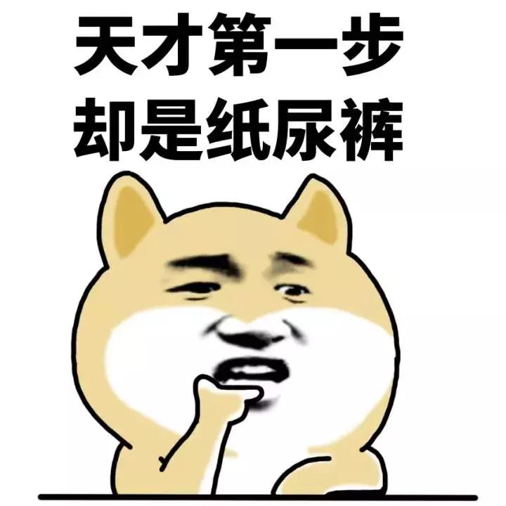 荷兰猪的智商有多可怕,任何时候都不要小瞧每一个人