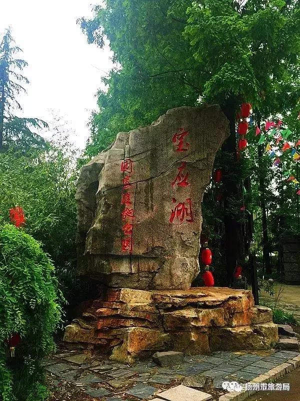 游宝应湖湿地公园,宝应湖国家湿地公园项目