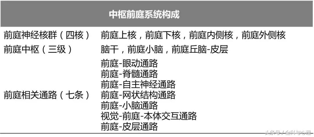 前庭中枢性症状怎么治,前庭中枢神经受损有什么好办法