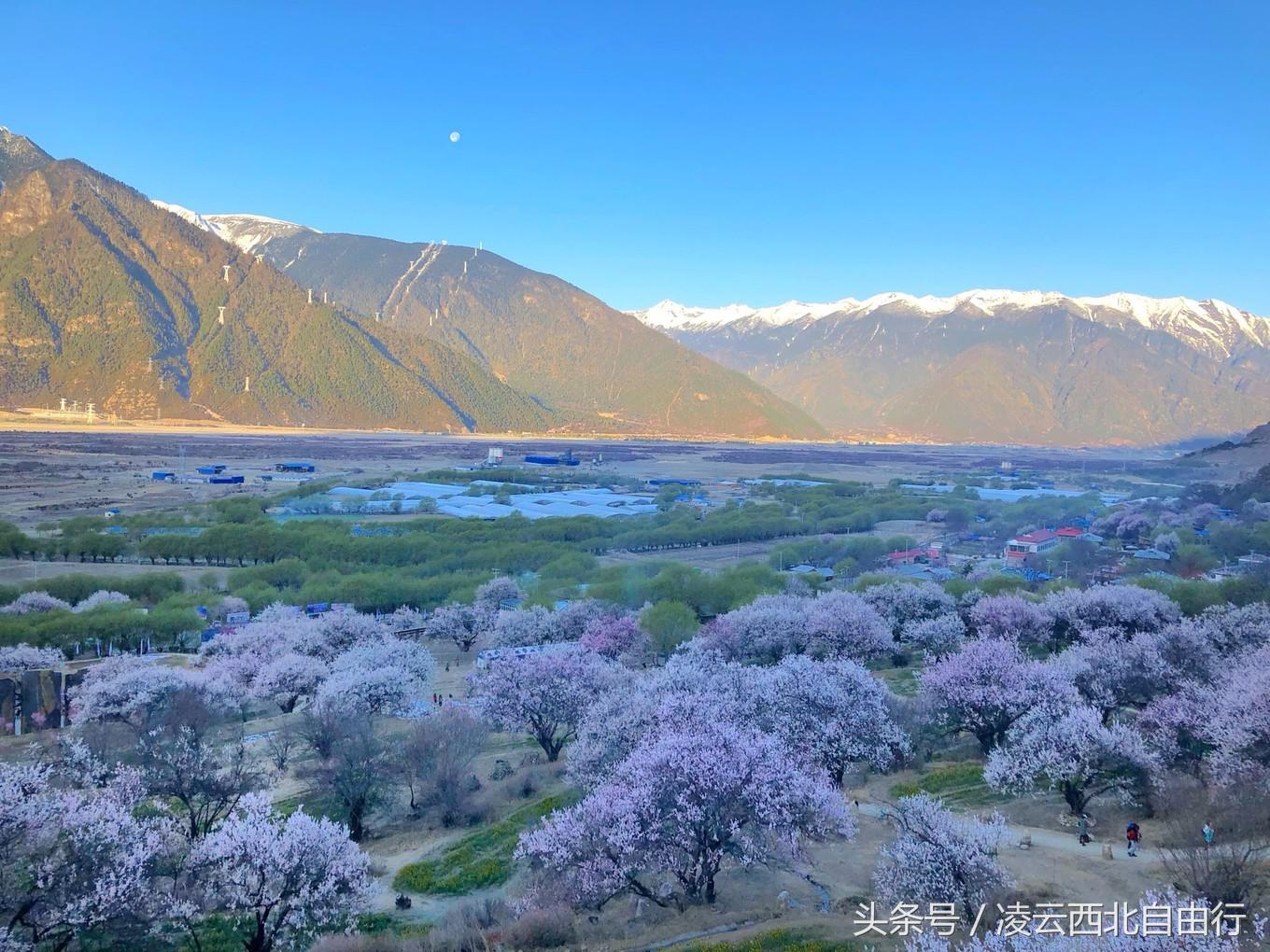 行，为寻三生三世桃花，却爱上了*藏西**的那抹蓝