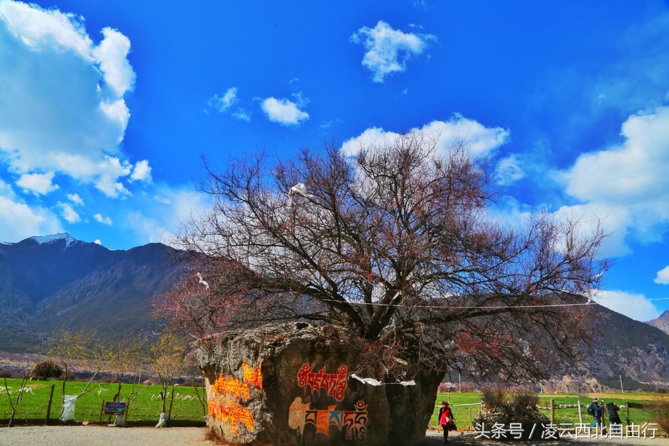 行，为寻三生三世桃花，却爱上了*藏西**的那抹蓝
