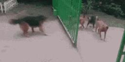 当武侠遇上“吃鸡”，出门就捡到绝顶武功秘籍是什么体验？