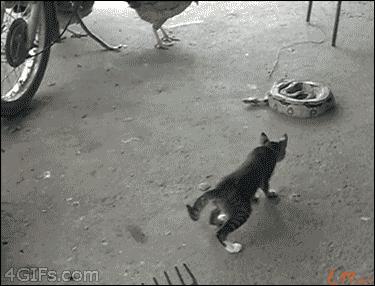 当武侠遇上“吃鸡”，出门就捡到绝顶武功秘籍是什么体验？