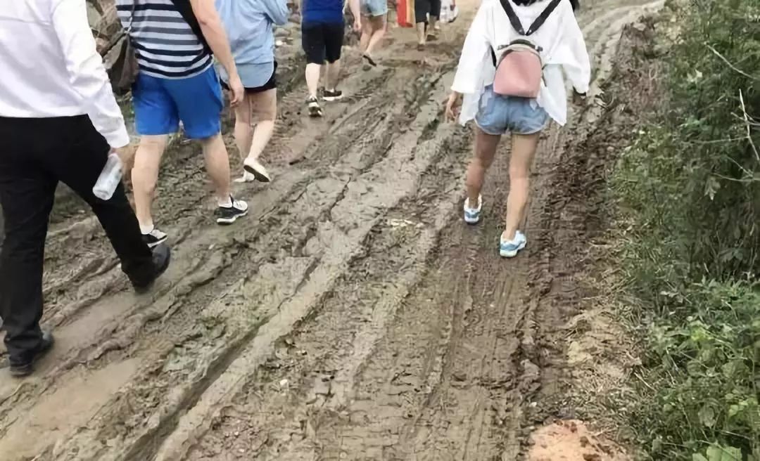 深读｜一边骂黄牛*党**，一边买黄牛票，世道就是这样变坏的