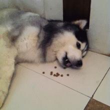 微信红包只能发最高200红包吗,红包最高只能发200吗