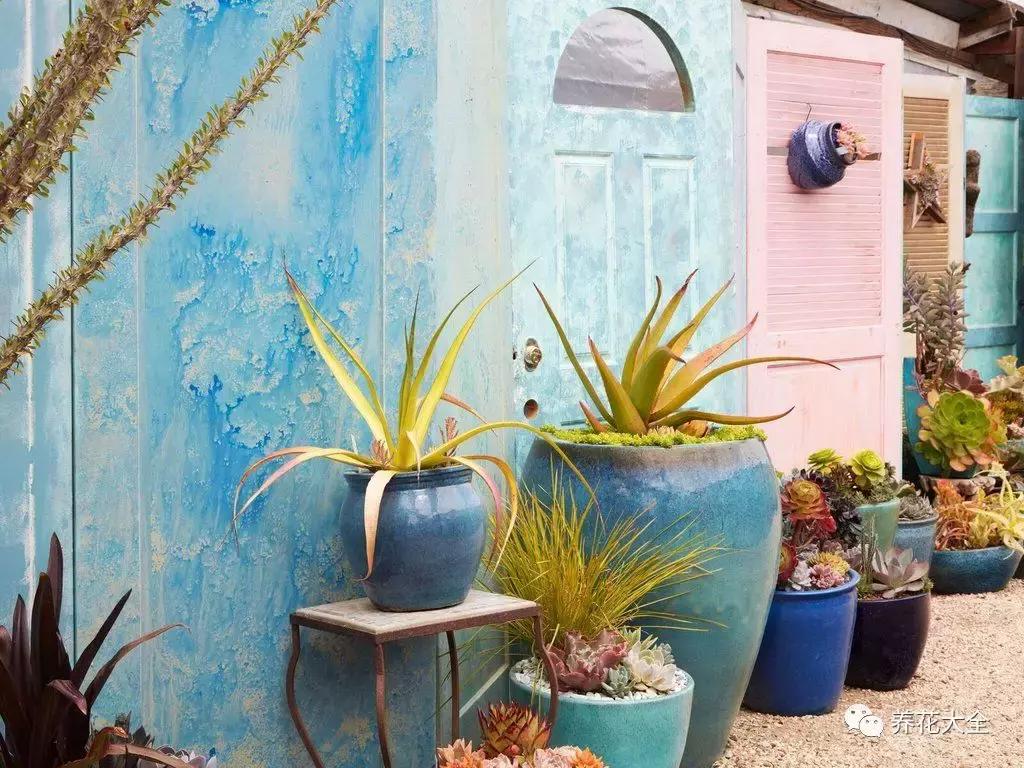 老外私家花园景观,国外多肉花园