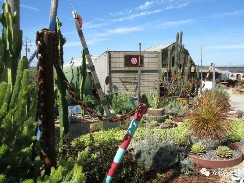 老外私家花园景观,国外多肉花园