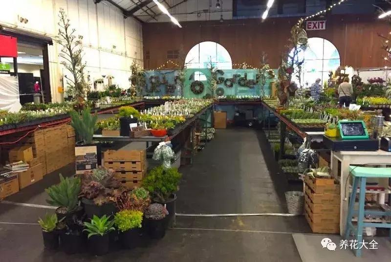 老外私家花园景观,国外多肉花园